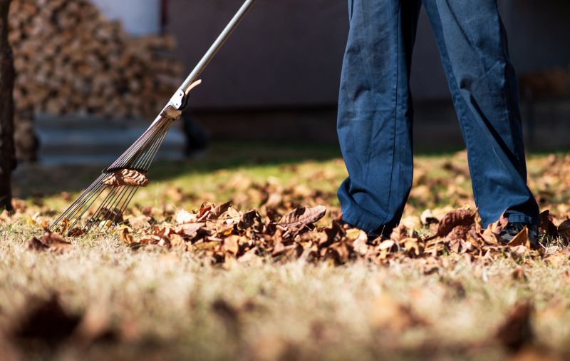 Yard with Leaves Being Raked