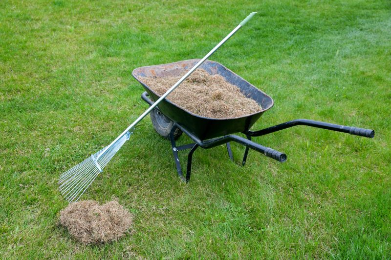 Thatch Removal Service