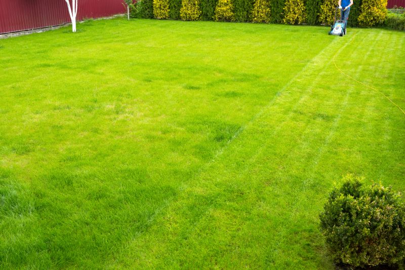 Reliable Local Lawn Services