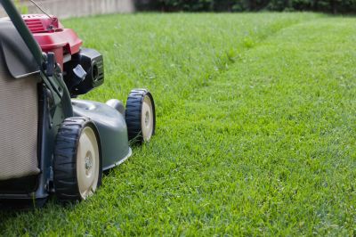 Specialized Equipment for Lawn Mowing