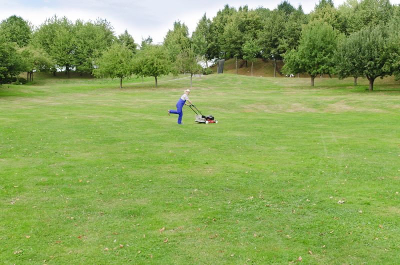 Customer Service Interaction