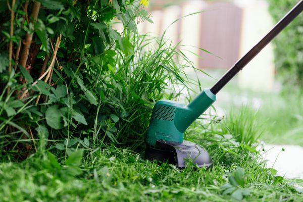 Weed Whacking in Birmingham