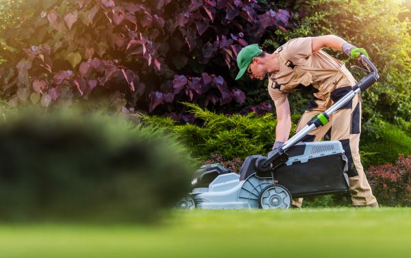 Yard Care Service in Birmingham
