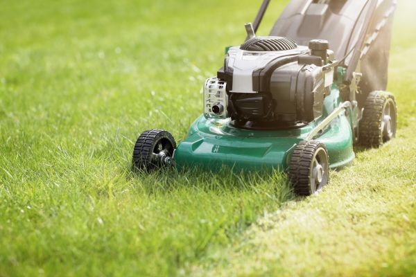Yard Cutting in Birmingham