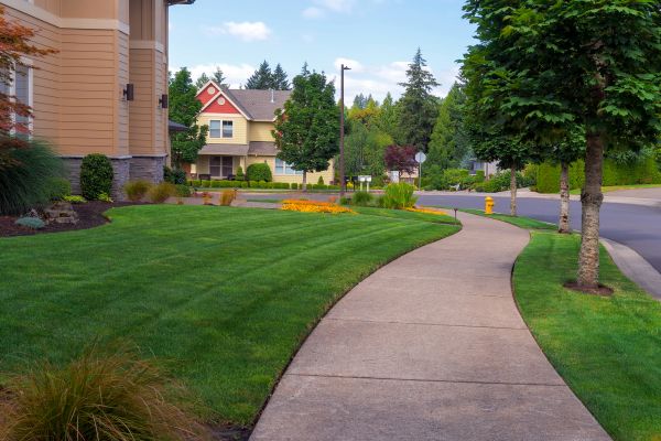 Home Lawn Maintenance in Birmingham