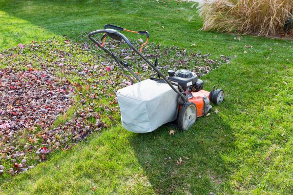 Seasonal Lawn Care in Birmingham