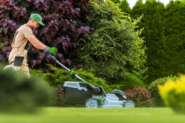 Lawn Management in Birmingham