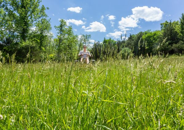 Long Grass Mowing in Birmingham