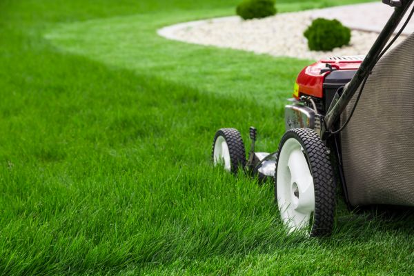 Lawn Trimming in Birmingham