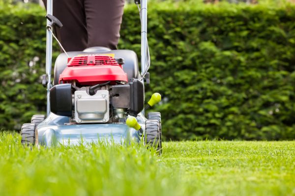 Grass Trimming Service in Birmingham