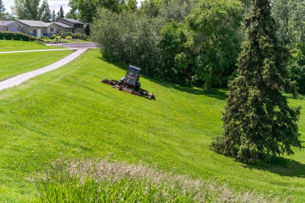 Hill Mowing in Birmingham