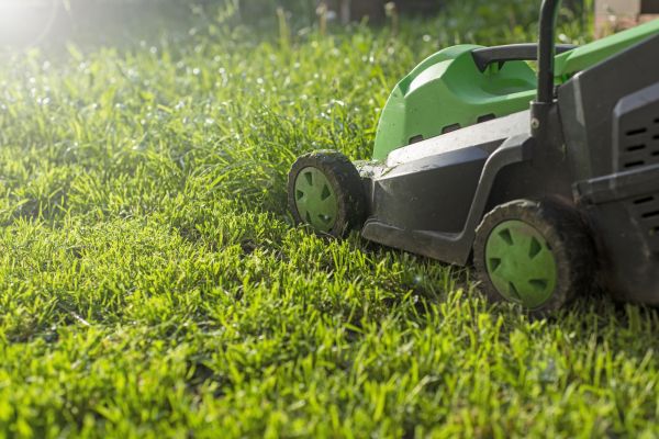Yard Trimming in Birmingham