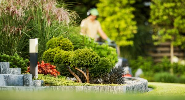 Residential Yard Maintenance in Birmingham