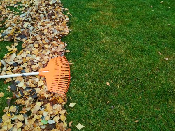 Fall Lawn Care in Birmingham