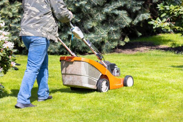 Springtime Lawn Care in Birmingham
