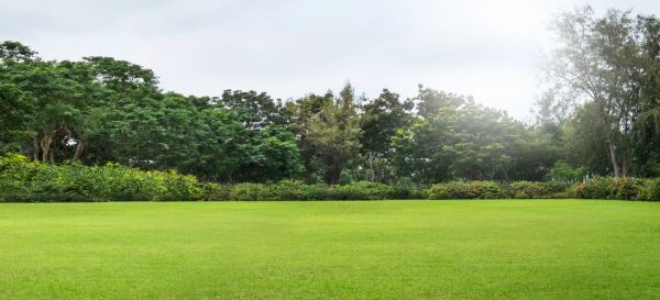 Golf Course Mowing in Birmingham