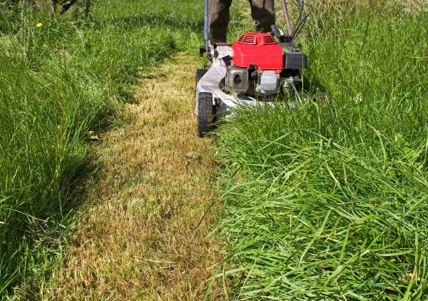 Leaf Mowing in Birmingham